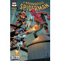 El Asombroso Spiderman 6