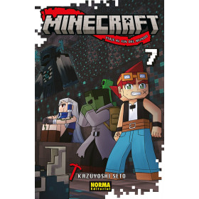 Minecraft 07