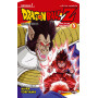 Dragon Ball Z Saga Saiyanos 05/05