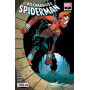 El Asombroso Spiderman 7