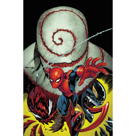 El Asombroso Spiderman 8