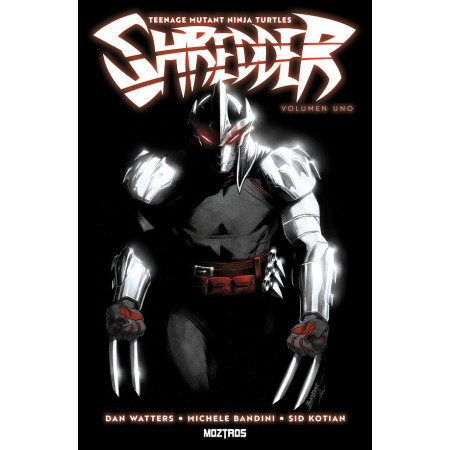 Teenage Mutant Ninja Turtles: Shredder 01