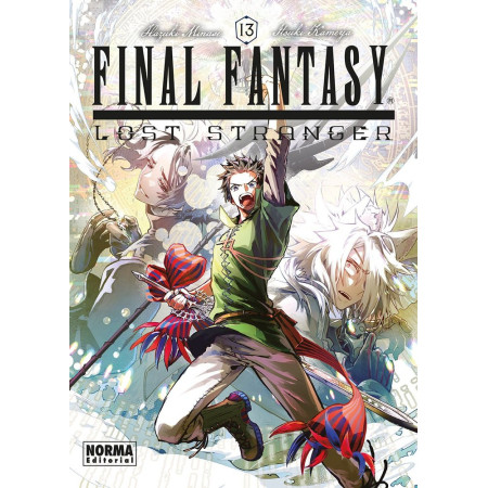 Final Fantasy. Lost stranger 13
