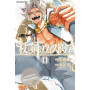 Wistoria. Wand & Sword 11
