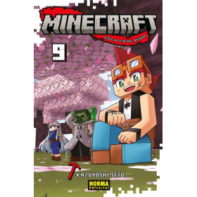 Minecraft 09