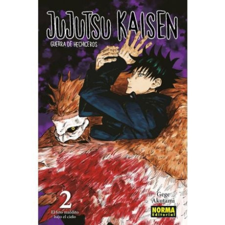JUJUTSU KAISEN 02