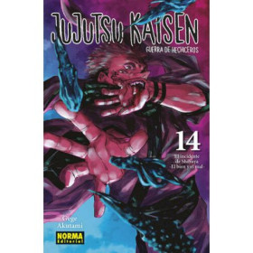 JUJUTSU KAISEN 14