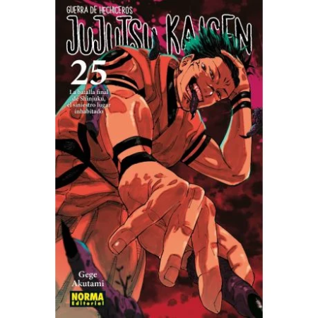 JUJUTSU KAISEN 25