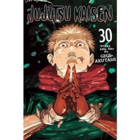 JUJUTSU KAISEN 30